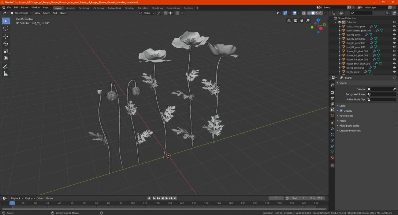 Stages of Poppy Flower Growth 3D model