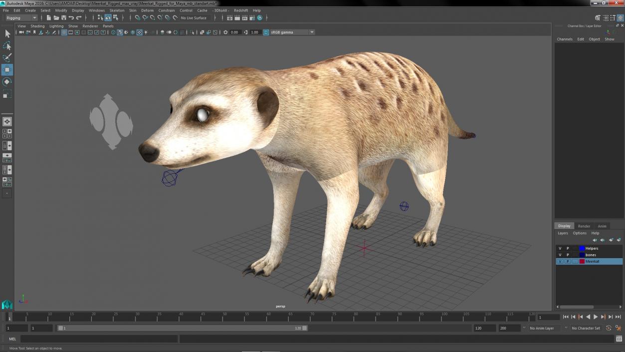 3D model Meerkat Rigged for Maya 2