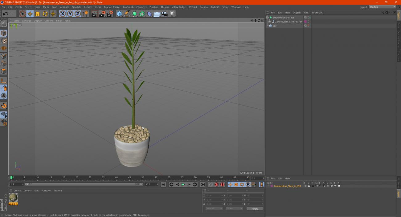 3D Zamioculcas Stem in Pot model