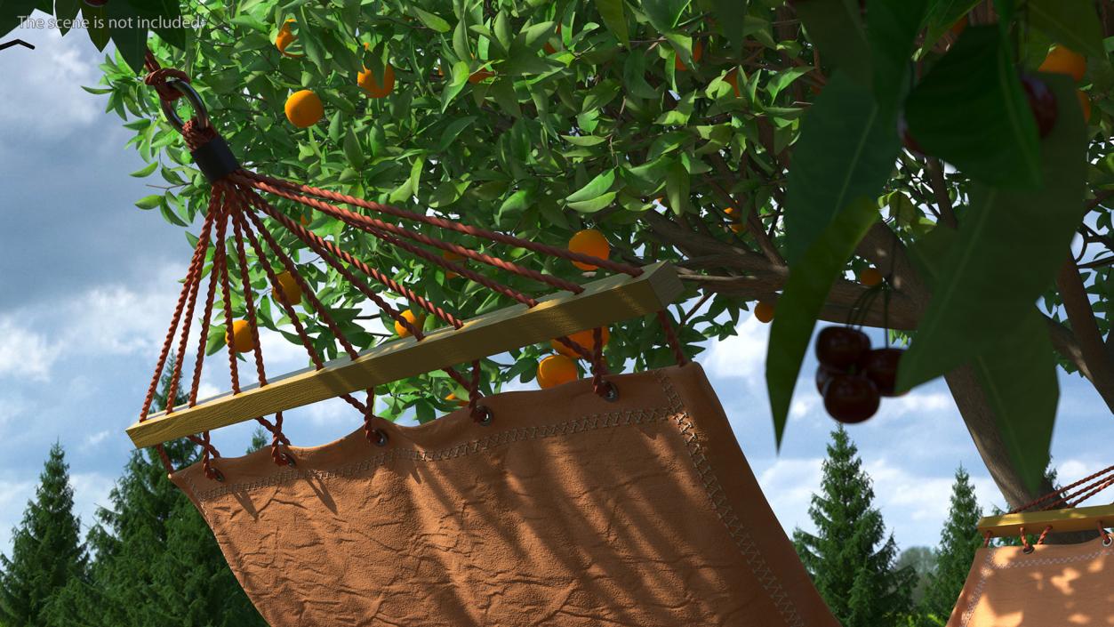 Deluxe Hammock 3D model