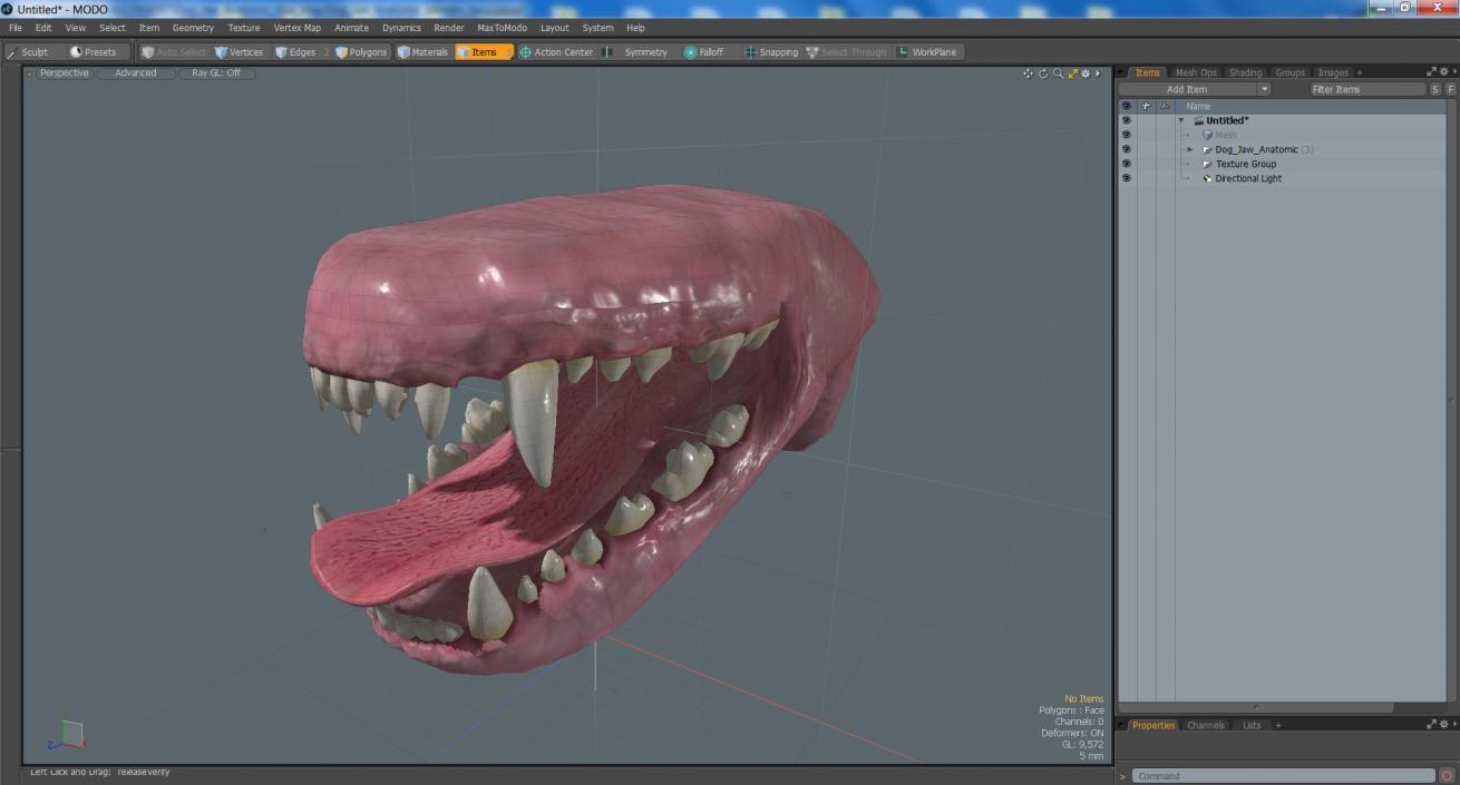 3D Dog Jaw Anatomic