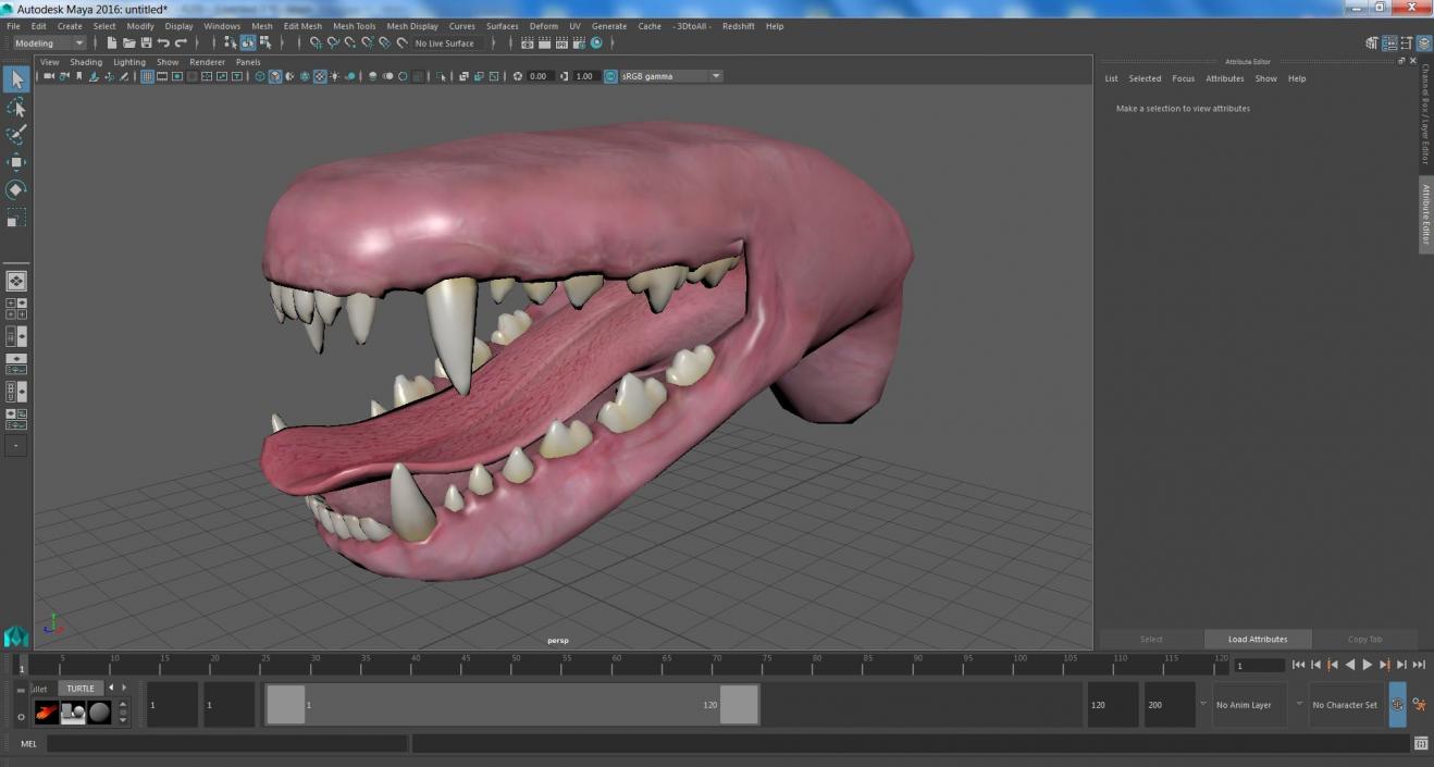 3D Dog Jaw Anatomic