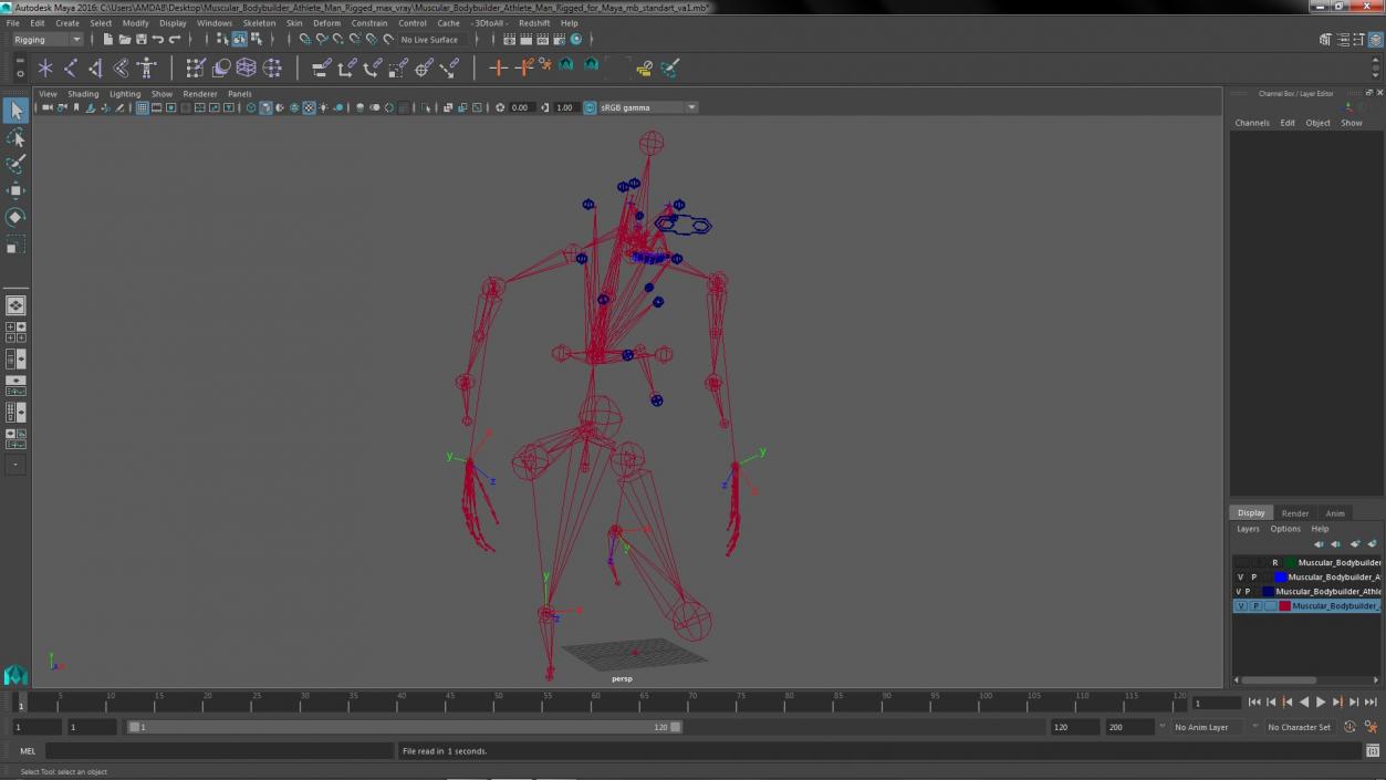 3D Muscular Bodybuilder Athlete Man Rigged for Maya model