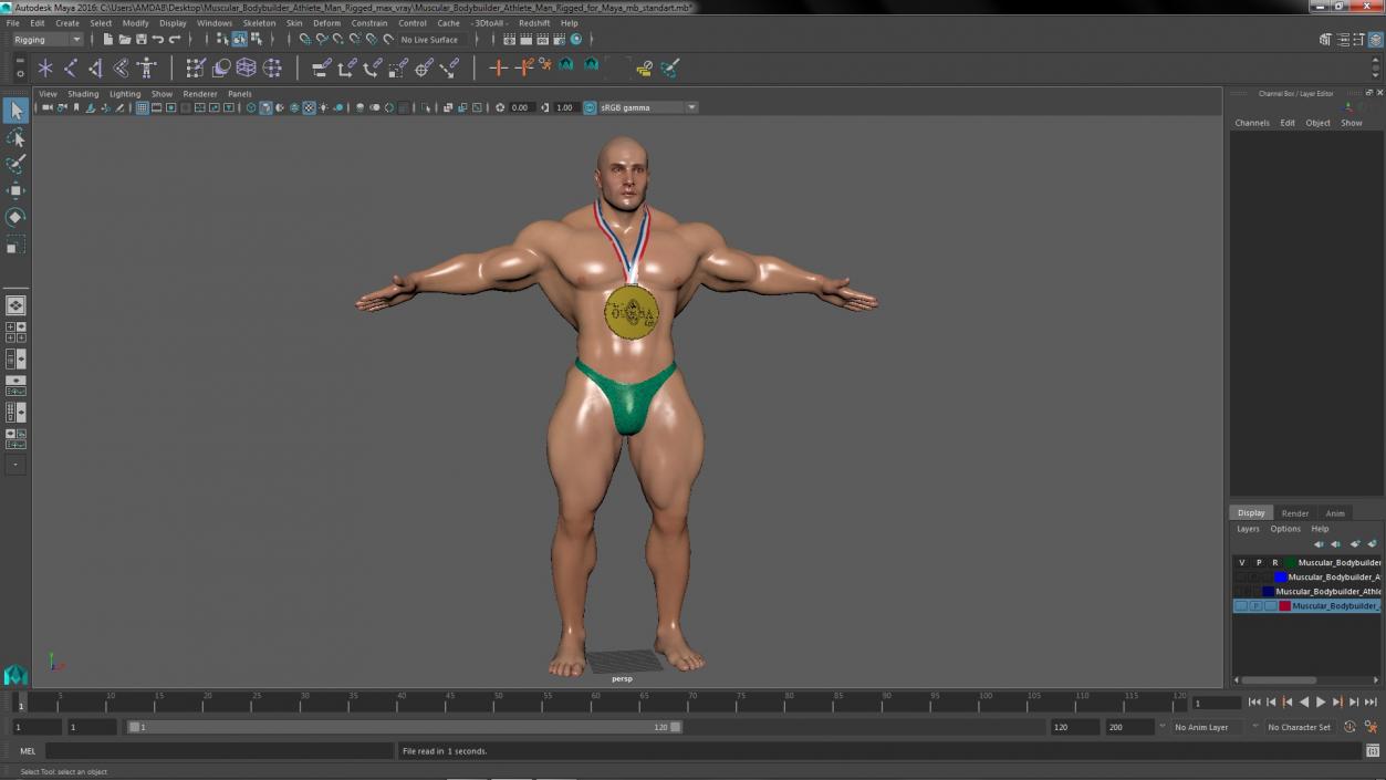 3D Muscular Bodybuilder Athlete Man Rigged for Maya model