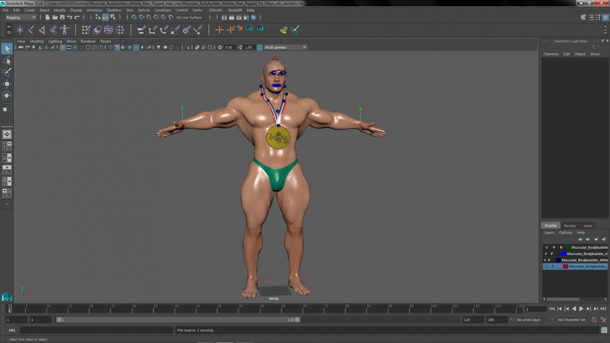 3D Muscular Bodybuilder Athlete Man Rigged for Maya model