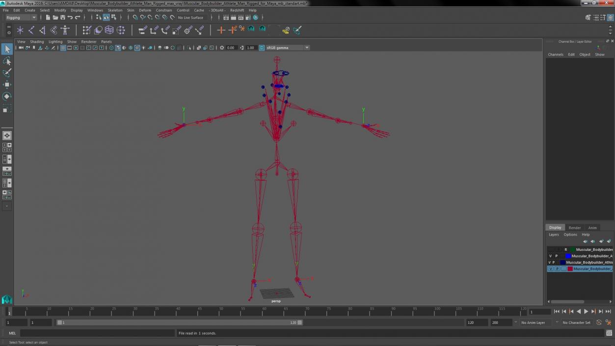 3D Muscular Bodybuilder Athlete Man Rigged for Maya model