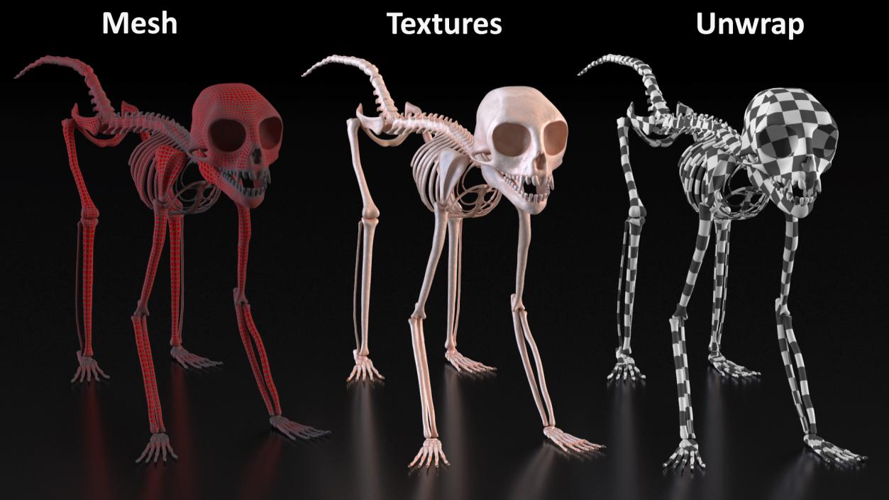 Marmoset Monkey Skeleton 3D model