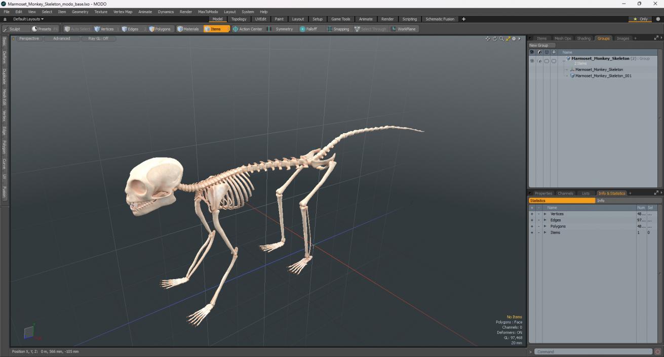 Marmoset Monkey Skeleton 3D model