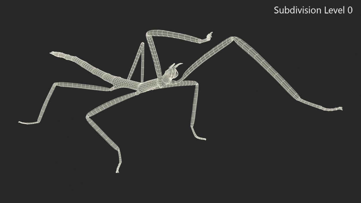 3D model Stick Insect Green Attack Pose