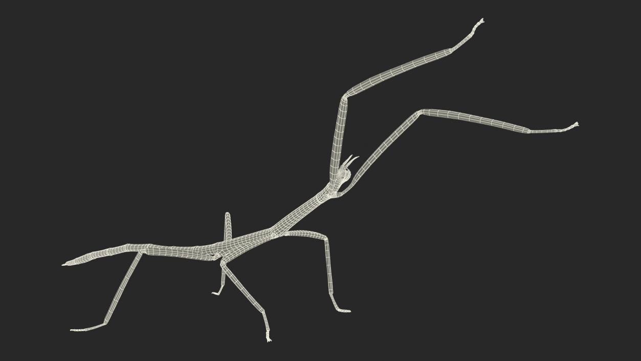 3D model Stick Insect Green Attack Pose