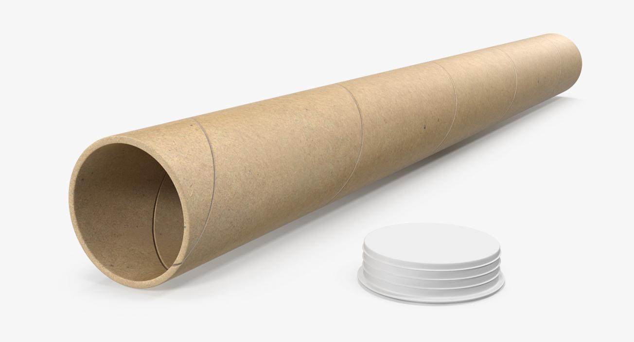 Cardboard Tube 3D model