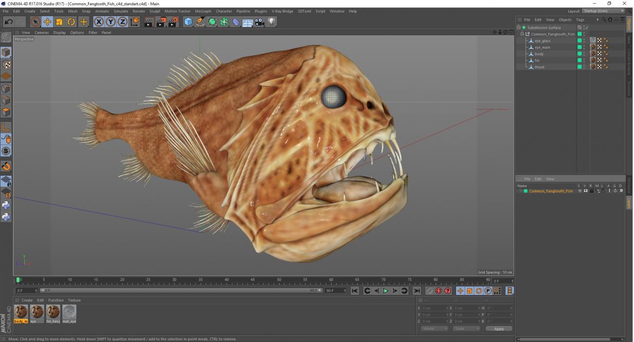 3D Common Fangtooth Fish