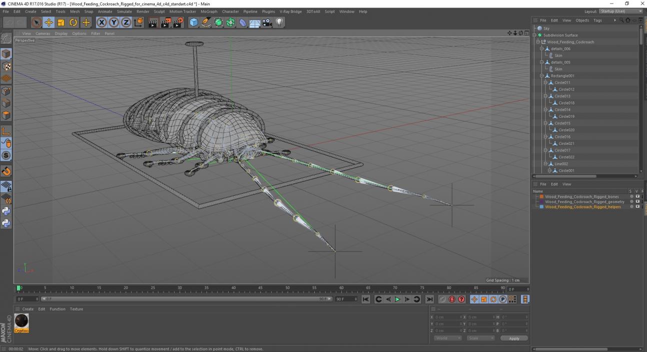 3D Wood Feeding Cockroach Rigged for Cinema 4D model