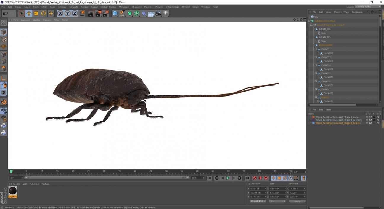 3D Wood Feeding Cockroach Rigged for Cinema 4D model