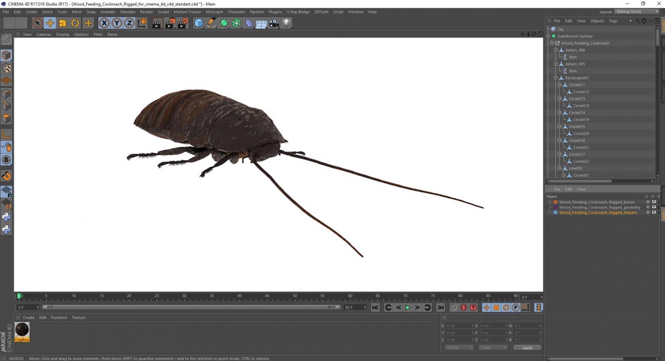 3D Wood Feeding Cockroach Rigged for Cinema 4D model