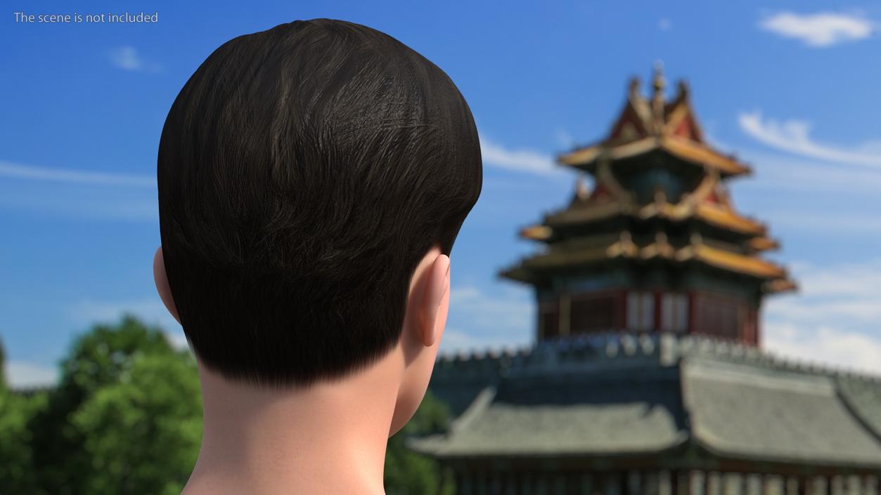 Head Chinese Schoolboy 3D