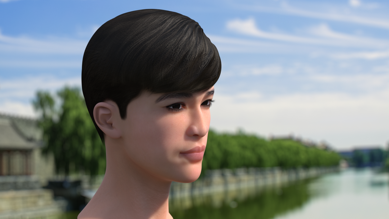 Head Chinese Schoolboy 3D