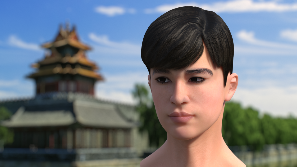 Head Chinese Schoolboy 3D