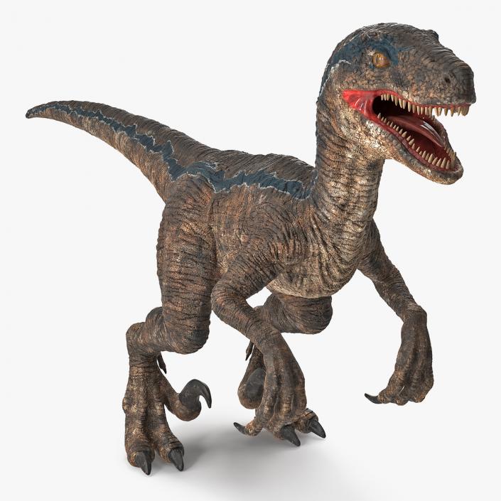 Velociraptor 3D