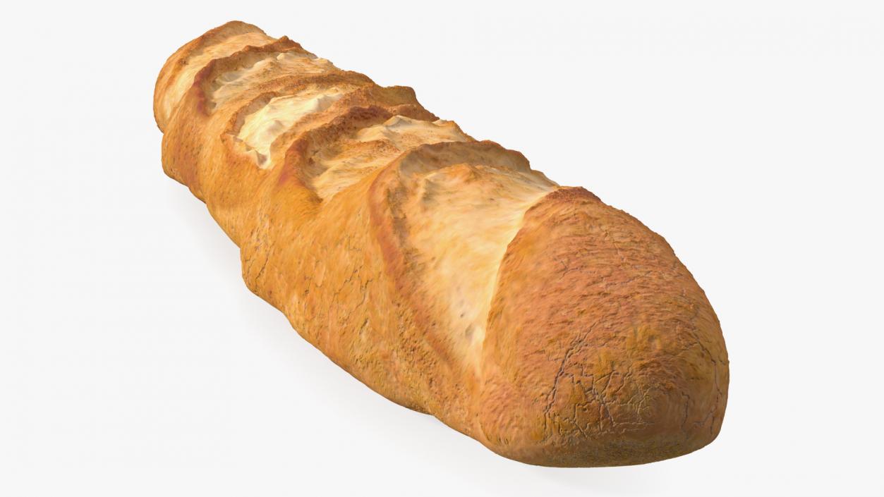 Baguette Bread 3D model