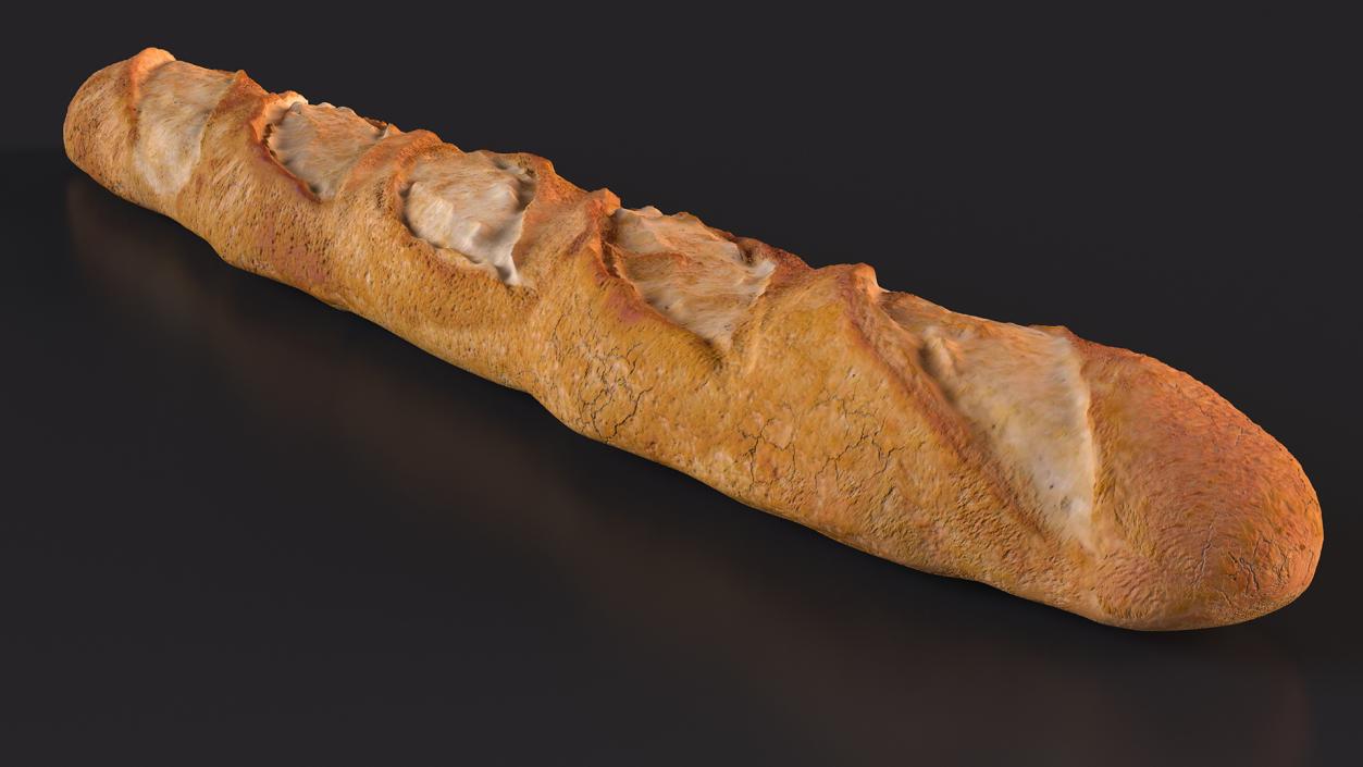 Baguette Bread 3D model