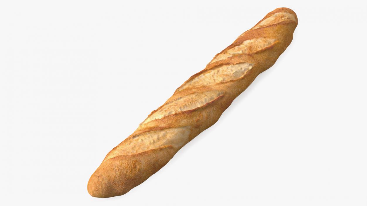 Baguette Bread 3D model