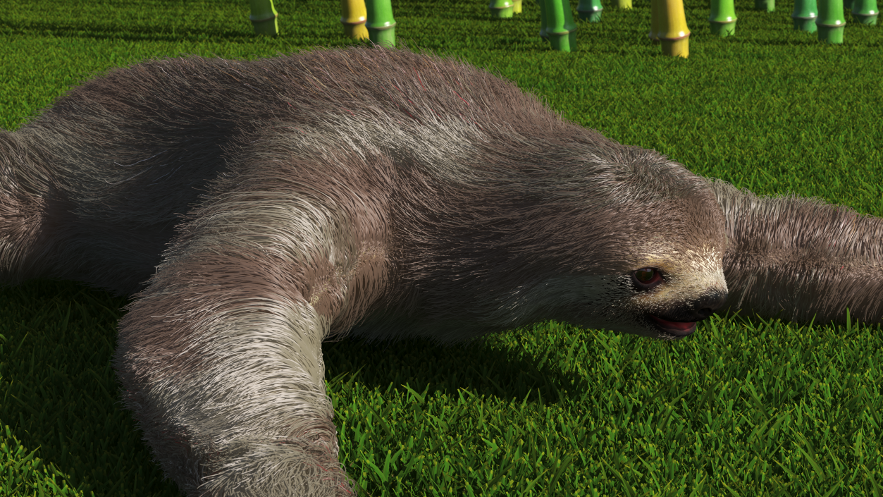 3D Sloth Fur Rigged