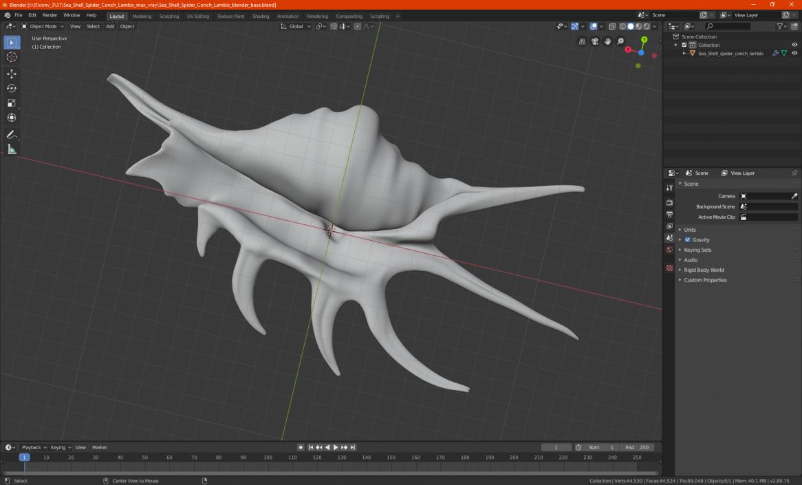 Sea Shell Spider Conch Lambis 3D model