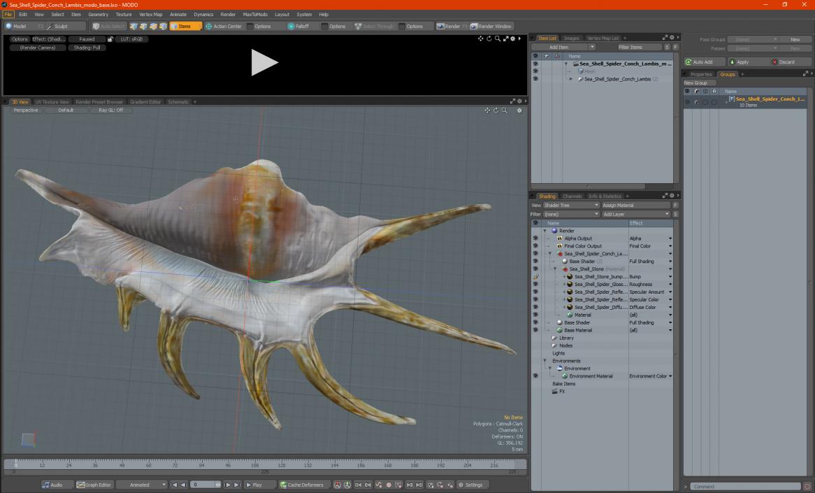 Sea Shell Spider Conch Lambis 3D model