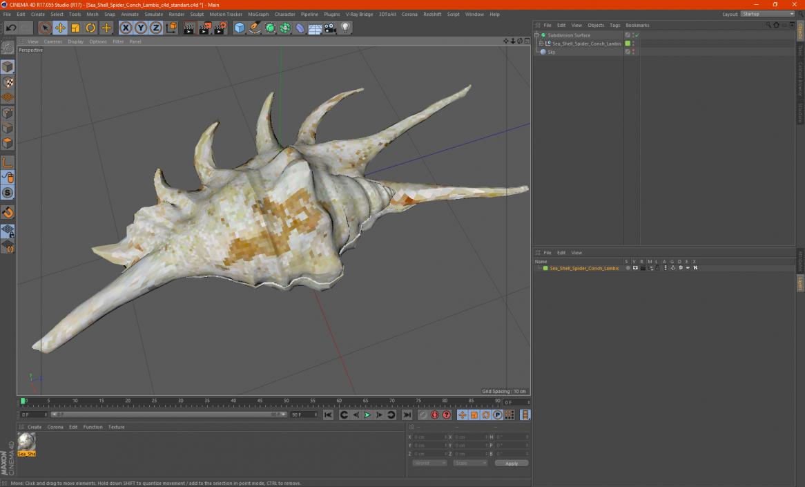 Sea Shell Spider Conch Lambis 3D model