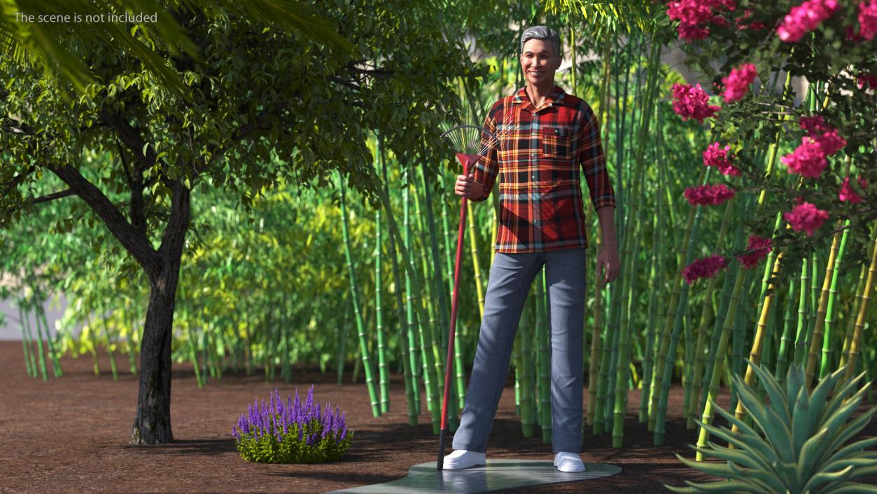 3D model Chinese Grandpa with Rake