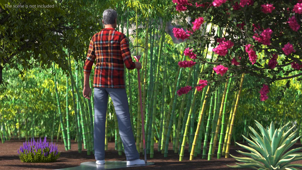 3D model Chinese Grandpa with Rake