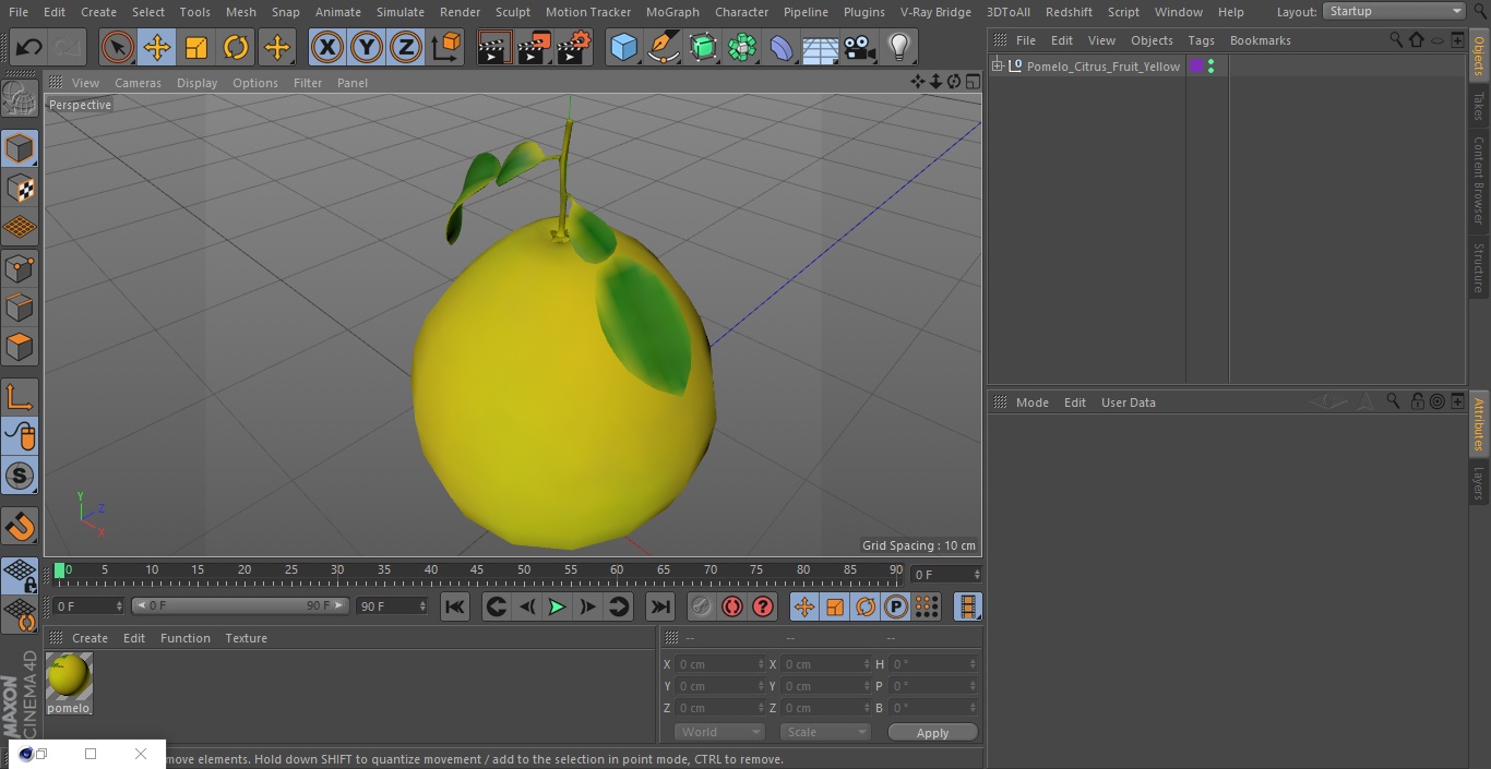 3D Pomelo Citrus Fruit Yellow