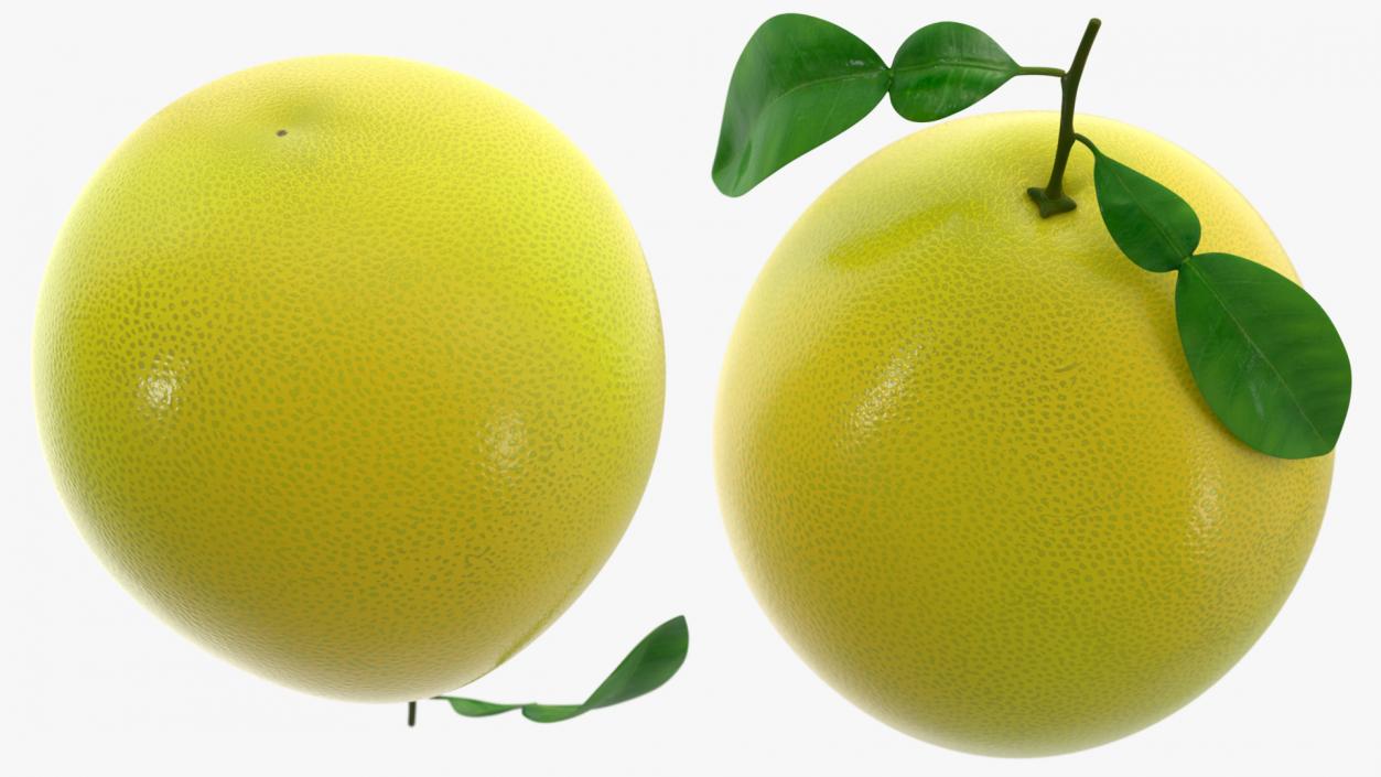 3D Pomelo Citrus Fruit Yellow