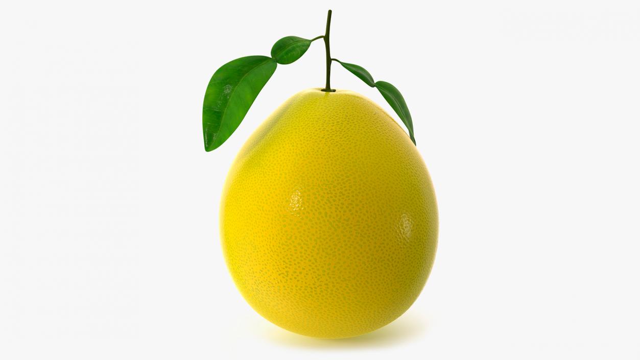 3D Pomelo Citrus Fruit Yellow