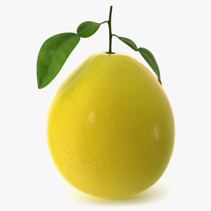 3D Pomelo Citrus Fruit Yellow