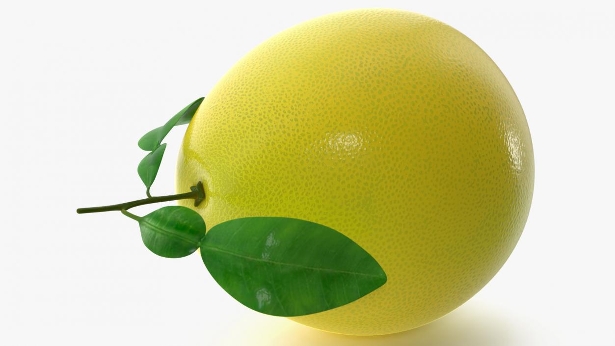 3D Pomelo Citrus Fruit Yellow