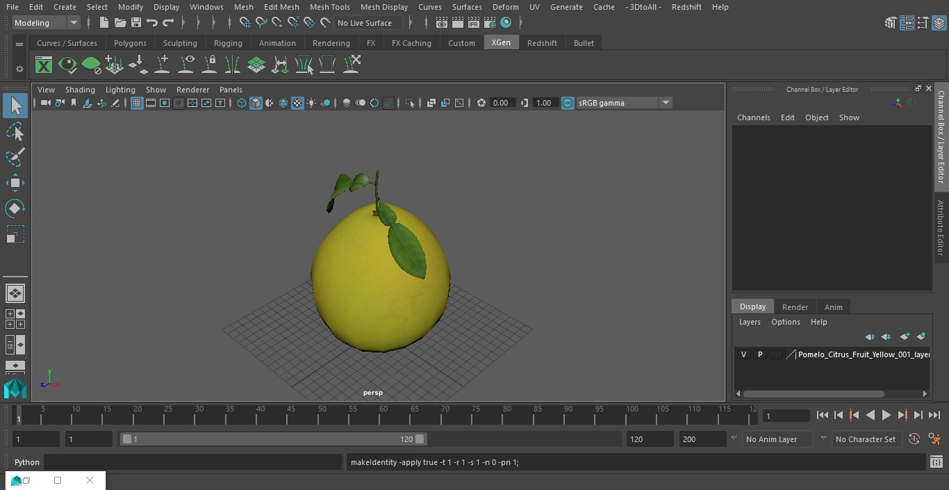 3D Pomelo Citrus Fruit Yellow