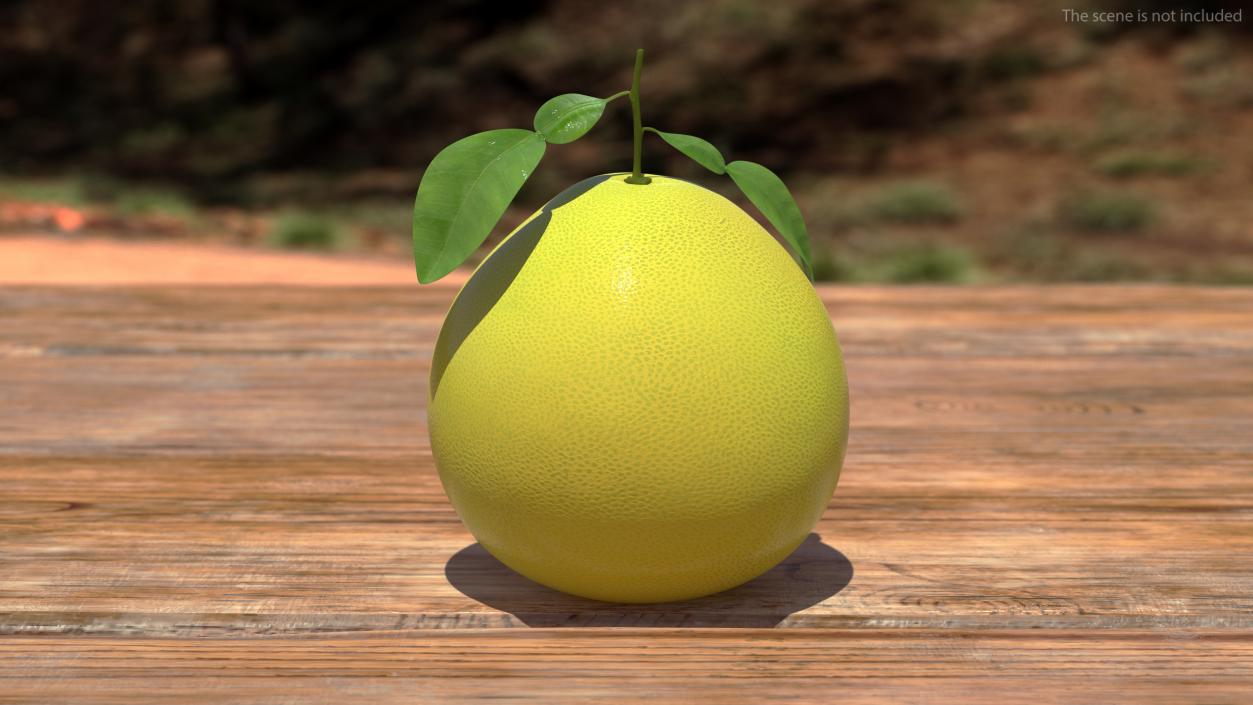 3D Pomelo Citrus Fruit Yellow