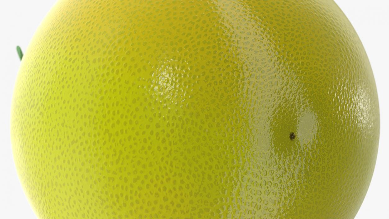 3D Pomelo Citrus Fruit Yellow