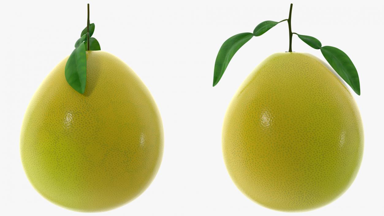 3D Pomelo Citrus Fruit Yellow