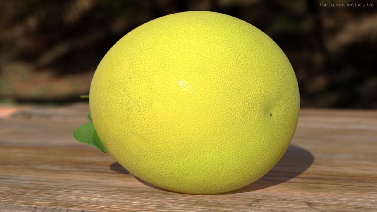 3D Pomelo Citrus Fruit Yellow