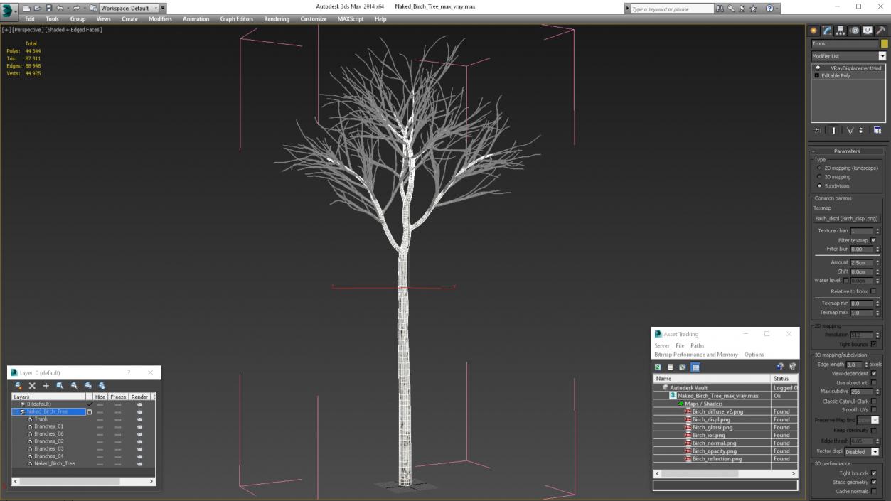 3D Naked Birch Tree