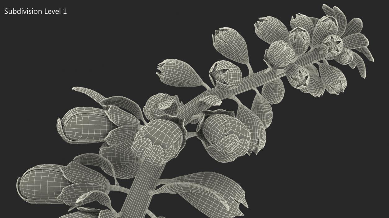 Digitalis Foxglove Alba White 3D model