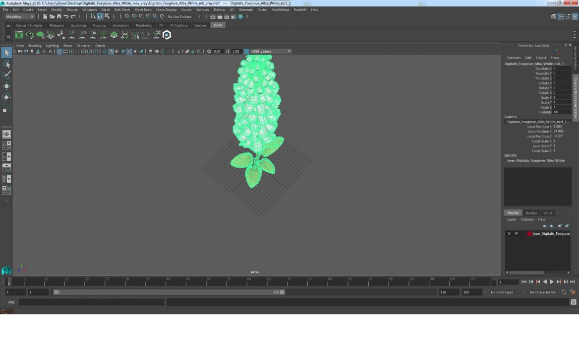 Digitalis Foxglove Alba White 3D model