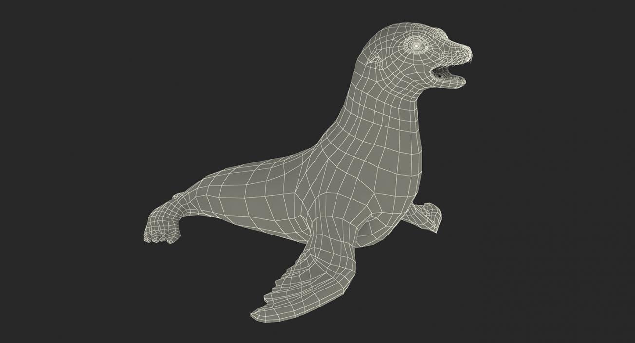 3D Sea Lion and Baby Collection model