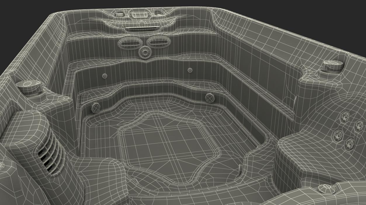 Jacuzzi 16ft Power Active Spa 3D model