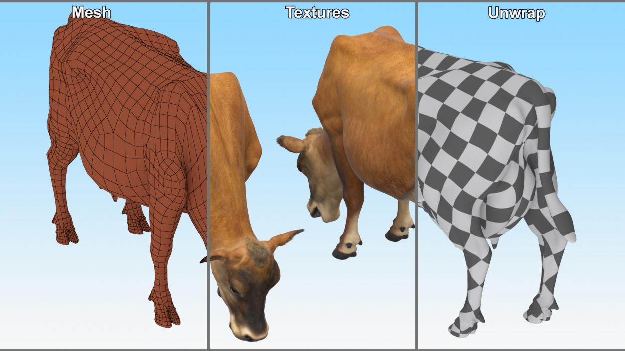 Mini Cow Eating Fur 3D model