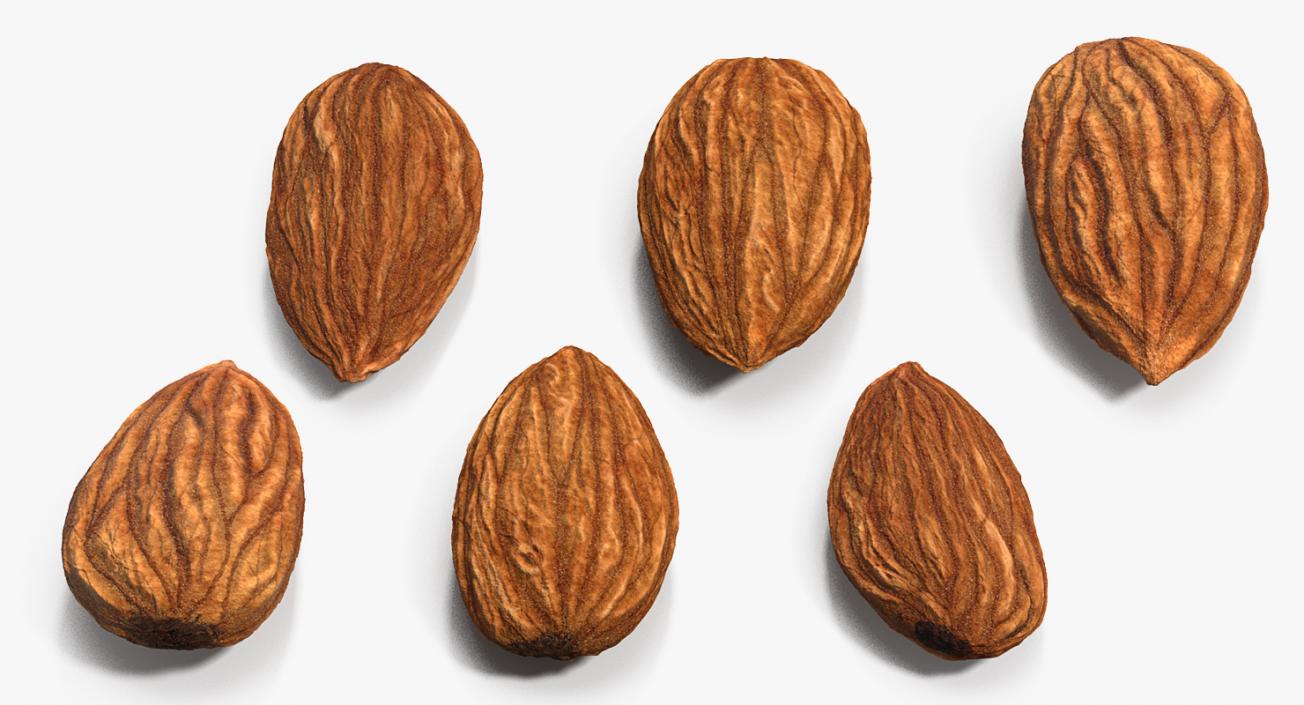 3D model Raw Almonds Set