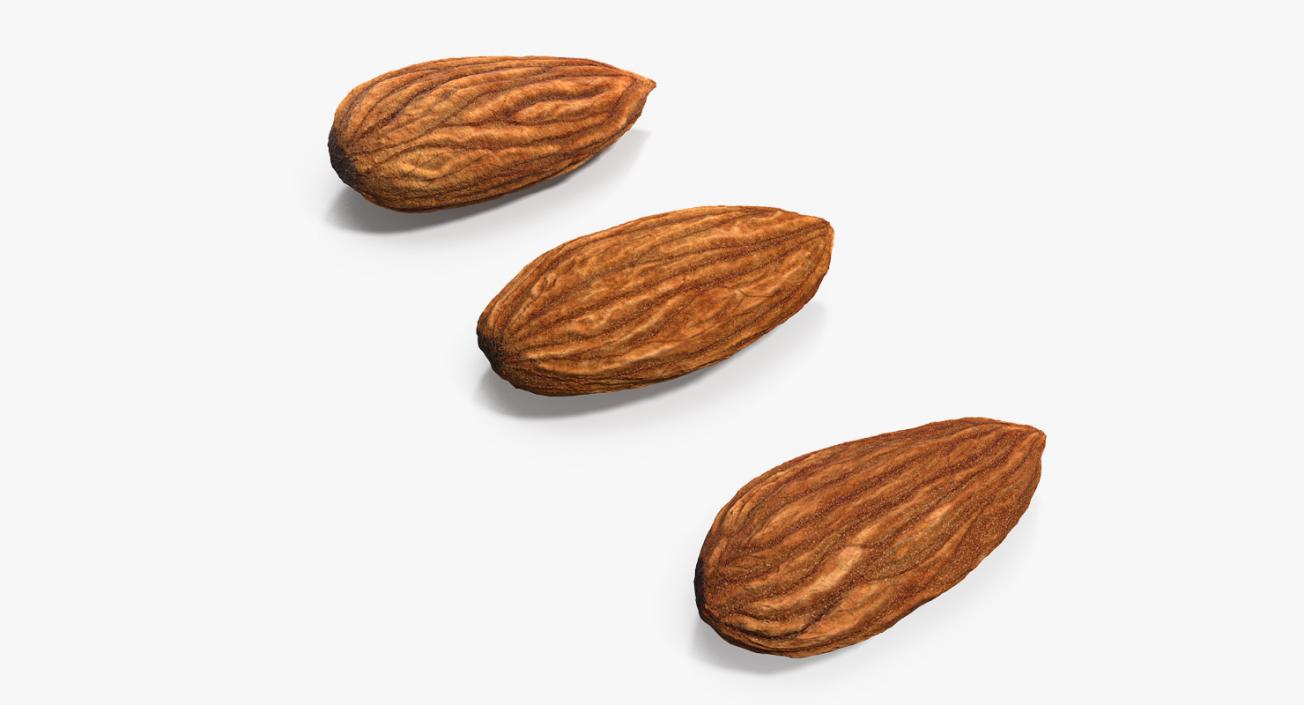 3D model Raw Almonds Set